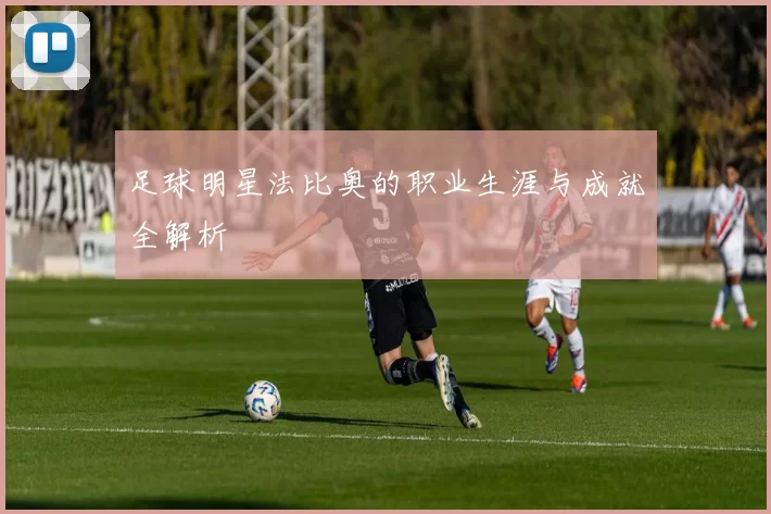 足球明星法比奥的职业生涯与成就全解析